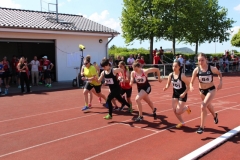 IMG_1175