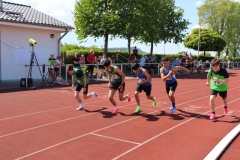 IMG_1214