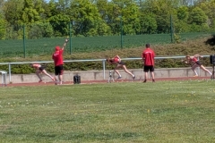 PXL_20260501_113026029.MP_