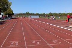 PXL_20260501_113105893.MP_
