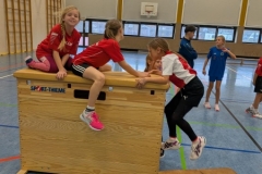 PXL_20251116_120913418.MP_