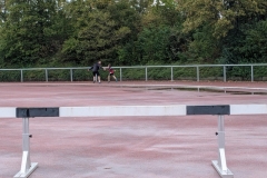 PXL_20250921_112705807.MP_