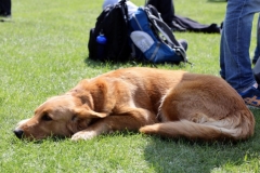 Foto: Frank Neuendorf