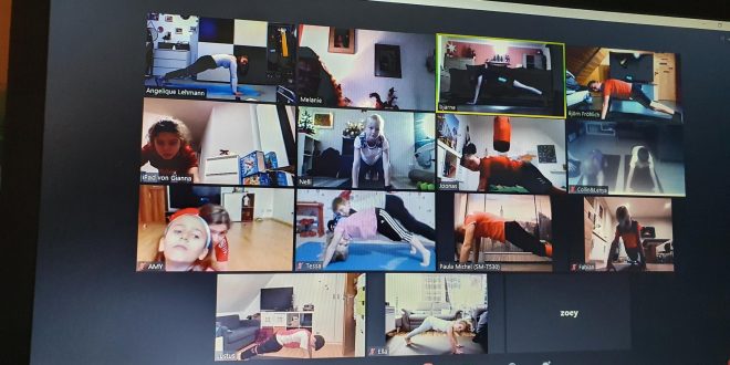 online Training über die Zoom Plattform